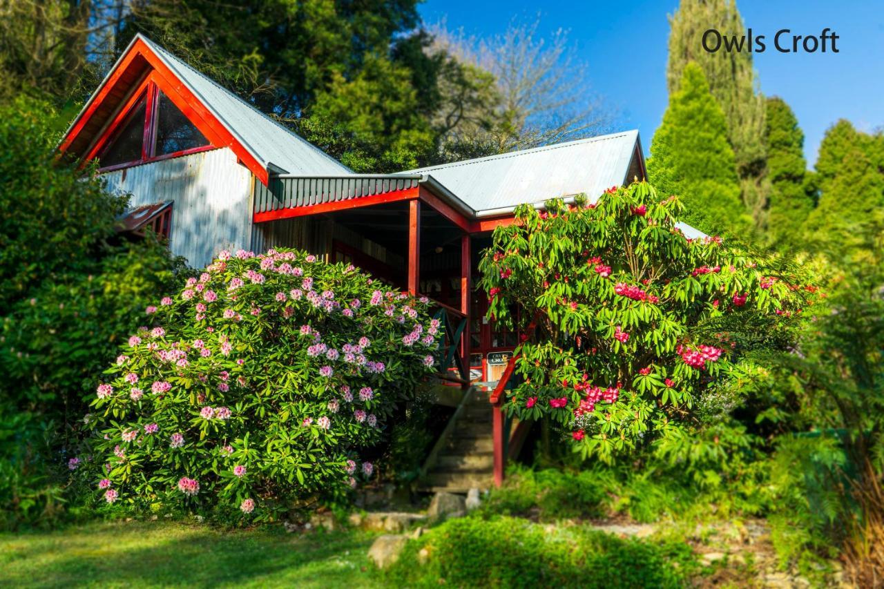 מאונט דנדנונג Observatory Cottages מראה חיצוני תמונה