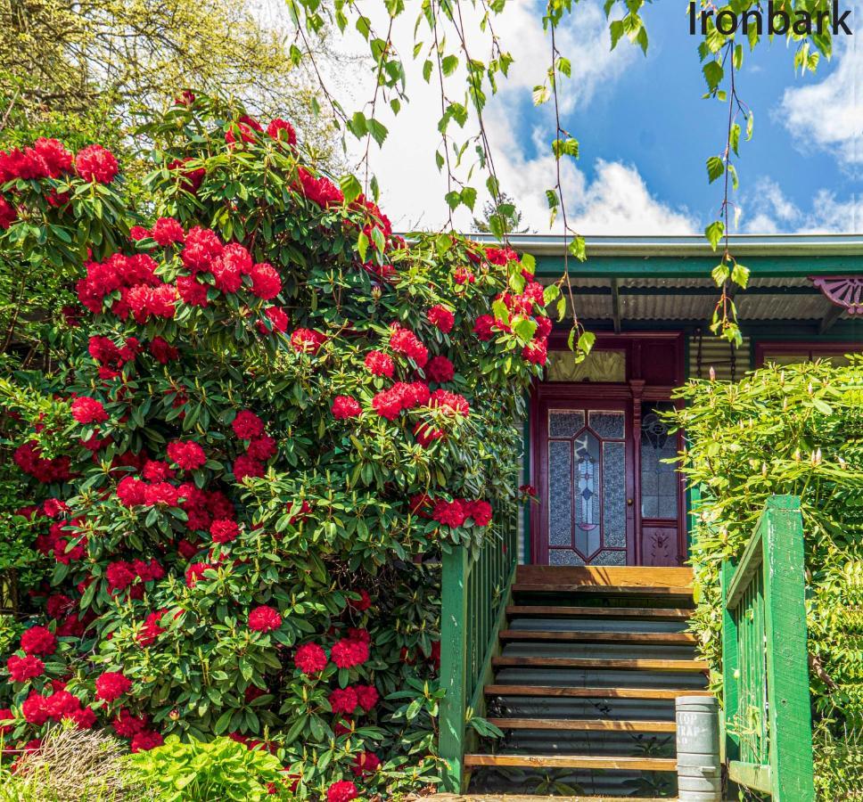 מאונט דנדנונג Observatory Cottages מראה חיצוני תמונה